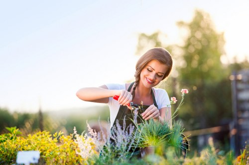 Examples of paving, edging, and structural landscaping features for Willesden homes