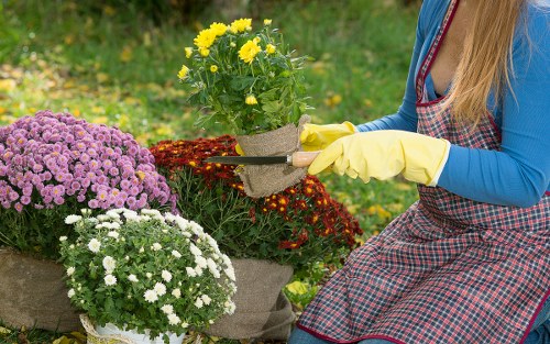Soft landscaping with borders and shrubs for a local property