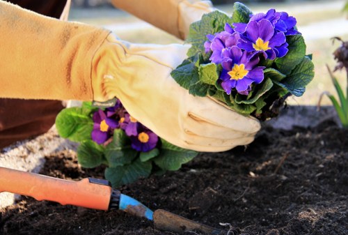Safety gear and tools used for landscaping in Willesden