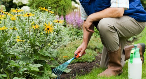 Professional landscaping safety measures for Willesden properties