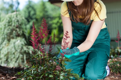Professional complaints handling for landscaping services with secure record keeping