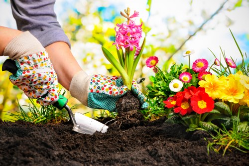 Local garden landscaping features including path, borders, and lawn in Willesden