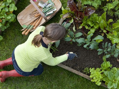 Patio, planting, and landscaping features in a Willesden outdoor space