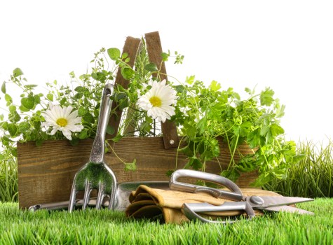 Cookie policy update notice for Landscaping Willesden online services