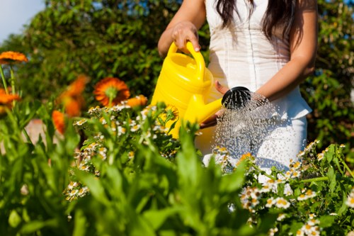 Creative landscaping design for a modern Willesden garden