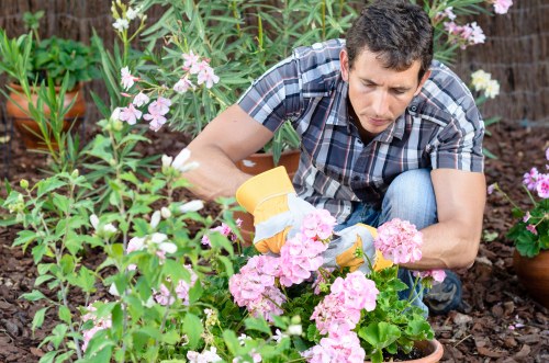 PCI compliant Landscaping Willesden card payment security