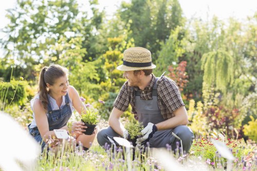 Garden waste removal and responsible disposal during landscaping